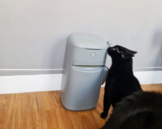 Illustration de l'article : Woopets a testé la poubelle à litière pour chats Easy Roll de Litter Genie