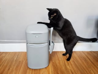 Illustration de l'article : Woopets a testé la poubelle à litière pour chats Easy Roll de Litter Genie