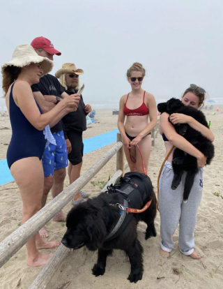 Illustration de l'article : En tant que nouvelle recrue de l’équipe de sauveteurs, ce chiot s’entraîne dur pour assurer la sécurité des nageurs à la plage (vidéo)