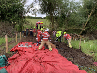 Illustration de l'article : Des pompiers redonnent espoir à un cheval de 20 ans piégé dans un mètre de boue