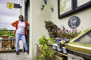 Illustration de l'article : Ce chat amical s’est donné pour mission d’accueillir les clients du magasin de son village (vidéo)