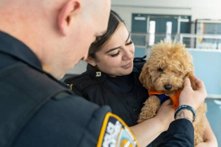 Illustration de l'article : Une policière pleure en découvrant l'état d'un chien maltraité, mais retrouve le sourire en contemplant sa guérison 2 mois après son sauvetage