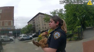 Illustration de l'article : Une policière pleure en découvrant l'état d'un chien maltraité, mais retrouve le sourire en contemplant sa guérison 2 mois après son sauvetage