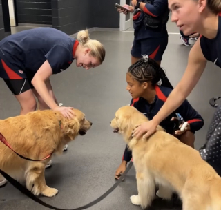 Illustration de l'article : Une visite surprise de chiens thérapeutiques aide une équipe olympique féminine de football à se relaxer (vidéo)