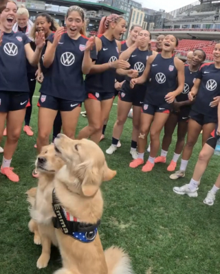 Illustration de l'article : Une visite surprise de chiens thérapeutiques aide une équipe olympique féminine de football à se relaxer (vidéo)