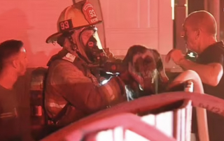 Illustration de l'article : Les pleurs émouvants d’un homme qui retrouve son chat après son sauvetage d’un incendie par les pompiers (vidéo)