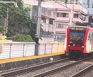 Illustration de l'article : Un chien errant secouru et adopté après une course effrayante sur les rails près d'un train en marche