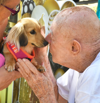 Illustration de l'article : Pour les 95 ans de son père, une femme organise une surprise inoubliable avec une parade des chiens de son quartier