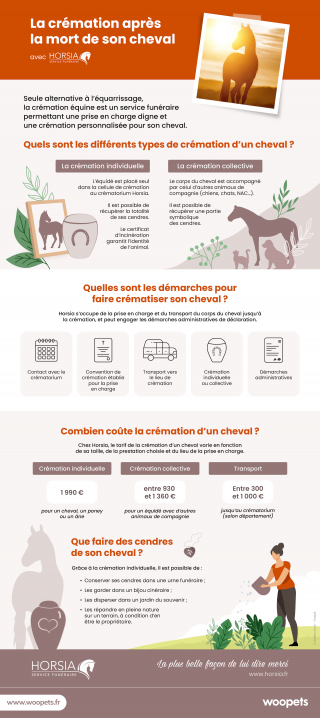 Illustration de l'article : La crémation après la mort de son cheval