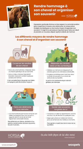 Illustration de l'article : Comment rendre hommage à son cheval et organiser son souvenir ?