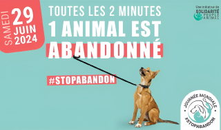 Illustration de l'article : Solidarité Peuple Animal présente une série d’actions fortes à l'occasion de la journée mondiale contre l'abandon des animaux de compagnie