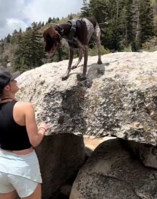 Illustration de l'article : Ce chien partenaire d'entraînement émeut sa maîtresse en la rejoignant avant la ligne d'arrivée d'un marathon (vidéo)