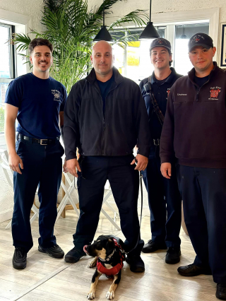 Illustration de l'article : À 6 mois seulement, cette chienne panse les plaies des pompiers et des victimes