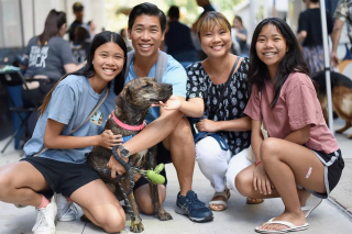 Illustration de l'article : Après 3 adoptions ratées, cette chienne trouve enfin sa famille pour toujours