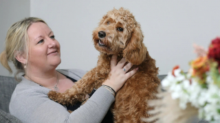 Illustration de l'article : Un chiot paralysé retrouve l’usage de ses membres grâce à des vis chirurgicales imprimées en 3D