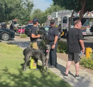 Illustration de l'article : Un agent immobilier brave les flammes pour sauver un chien piégé dans une maison en feu