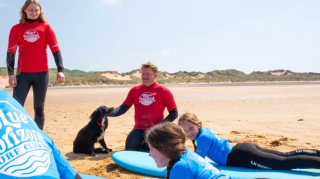 Illustration de l'article : Rescapée de l'abandon, Ariel une chienne à six pattes vit désormais au bord de la mer après une chirurgie réussie