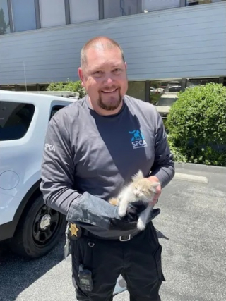 Illustration de l'article : Après avoir secouru un chaton sur une autoroute, un policier lui rend visite au refuge avec ses enfants pour l'adopter