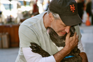 Illustration de l'article : L'émouvant hommage de l'animateur TV Jon Stewart à son chien disparu suscite un formidable élan de solidarité en faveur de son ancien refuge