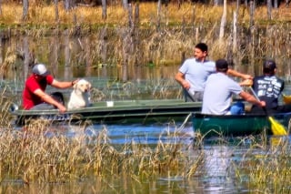 Illustration de l'article : Un chien en fugue et pris au piège dans un lac se remet à espérer à l'arrivée d'une famille en promenade