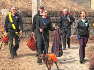 Illustration de l'article : Un chien tombé dans un fleuve gelé reçoit l'aide inespérée d'une passante qui n'hésite pas à braver l'eau glacée