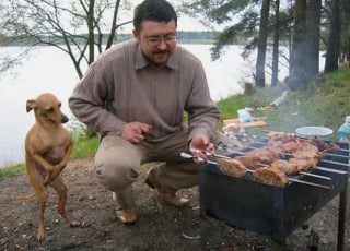 Illustration de l'article : 18 photos qui prouvent bien que les chiens sont les les plus gourmands de la planète