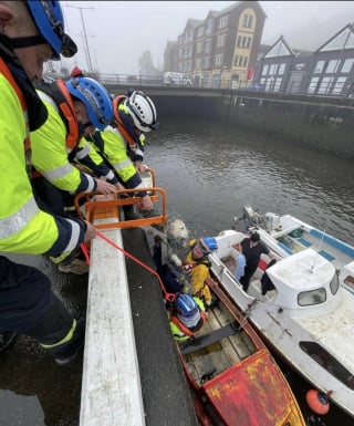 Illustration de l'article : Le lien fort entre 2 chiens en fugue mène à une opération de sauvetage émouvante dans un port