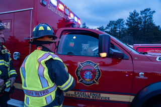 Illustration de l'article : L’intervention des pompiers prend une tournure imprévue après l’arrivée d’un chat inconnu sur une scène d’accident