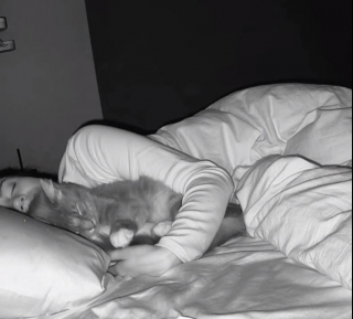 Illustration de l'article : En cherchant la raison de son manque de sommeil, la maîtresse de ce chat ne s’attendait pas à découvrir une explication aussi attendrissante (vidéo)