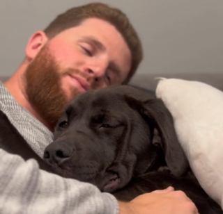 Illustration de l'article : L'attitude touchante d'une chienne de refuge vivant sa première nuit de quiétude grâce à une famille d'accueil (vidéo)
