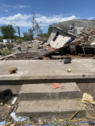 Illustration de l'article : Après avoir disparu pendant une tornade, ce chat retrouve miraculeusement sa maîtresse lors d’une émission télévisée en direct (vidéo)