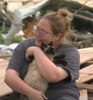 Illustration de l'article : Après avoir disparu pendant une tornade, ce chat retrouve miraculeusement sa maîtresse lors d’une émission télévisée en direct (vidéo)