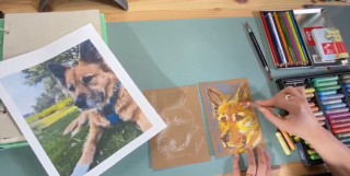 Illustration de l'article : Le geste noble d'une artiste exprimant son talent et sa générosité dans un projet au profit des chiens d'un refuge