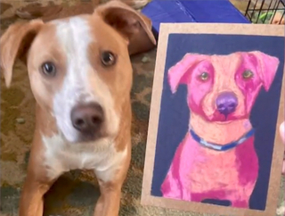 Illustration de l'article : Le geste noble d'une artiste exprimant son talent et sa générosité dans un projet au profit des chiens d'un refuge
