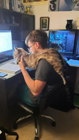 Illustration de l'article : Pour que sa chatte arrête de l’empêcher de travailler, un jeune homme trouve par hasard une adorable solution
