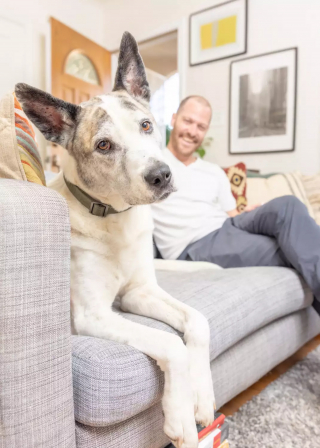 Illustration de l'article : Grâce à la technologie et à une famille bienveillante, Josh le chien retrouve son propriétaire