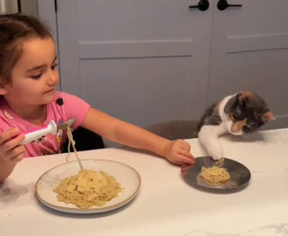 Illustration de l'article : Une adorable petite fille insiste pour prendre ses repas en compagnie de son chat afin qu’il se sente inclus dans la famille (vidéo)