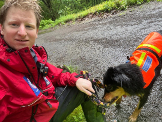 Illustration de l'article : Pour sa première mission, une chienne de sauvetage lancée sur les traces d'une personne disparue en montagne signe un véritable exploit