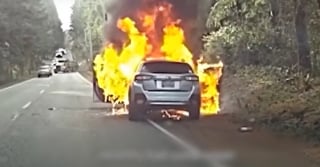 Illustration de l'article : La voiture d'un propriétaire canin qui emmenait sa chienne chez le vétérinaire prend feu, un policier s'en aperçoit juste à temps pour les sauver