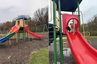 Illustration de l'article : 2 chiots errants s'amusent sur un toboggan dans un parc sans se douter que leur vie est sur le point de changer