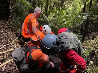 Illustration de l'article : Les aboiements et les empreintes de pattes d'un chien guident les secours vers son maître perdu en forêt et épuisé depuis 2 jours