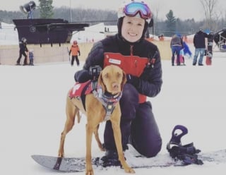 Illustration de l'article : 2 chiens thérapeutiques apportent beaucoup de réconfort aux personnes blessées sur les pistes de ski et inspirent un programme national (vidéo)