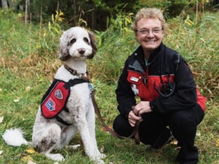 Illustration de l'article : 2 chiens thérapeutiques apportent beaucoup de réconfort aux personnes blessées sur les pistes de ski et inspirent un programme national (vidéo)