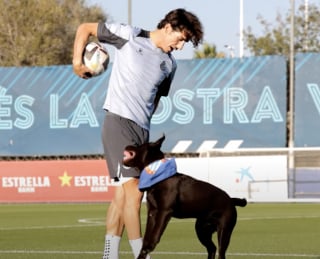 Illustration de l'article : En apparaissant avec son chien lors d’une conférence de presse, un célèbre footballeur joue un rôle déterminant dans une campagne en faveur des animaux de refuge (vidéo)