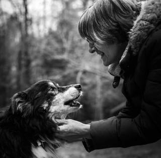 Illustration de l'article : 16 photos montrant l’amour incommensurable entre des propriétaires et leur chat ou leur chien