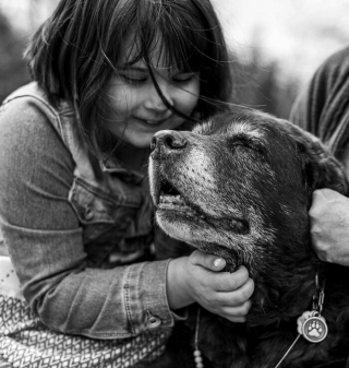 Illustration de l'article : 16 photos montrant l’amour incommensurable entre des propriétaires et leur chat ou leur chien