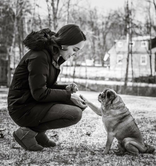 Illustration de l'article : 16 photos montrant l’amour incommensurable entre des propriétaires et leur chat ou leur chien