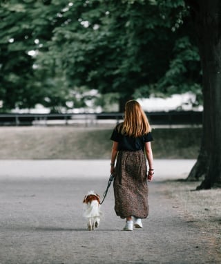 Illustration de l'article : Un chien en promenade défend courageusement sa maîtresse contre deux individus armés de couteaux qui tentaient de le voler