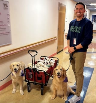 Illustration de l'article : Emma et Ellie, 2 chiennes de thérapie Golden Retrievers, apportent beaucoup de joie et de lumière à une petite fille souffrant de leucémie (vidéo)