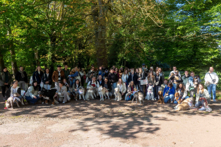 Illustration de l'article : La Marche de l’Animal en Ville, un évènement joyeux pour sensibiliser le public à la place de nos boules de poils en milieu urbain et développer le vivre ensemble (vidéo)